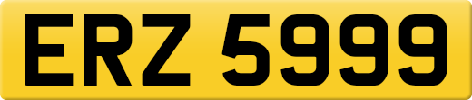 ERZ5999