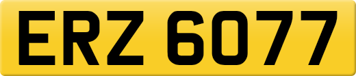 ERZ6077
