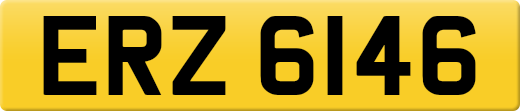 ERZ6146