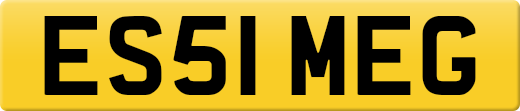 ES51MEG