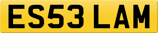ES53LAM