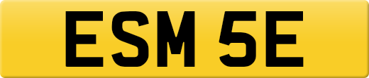ESM5E