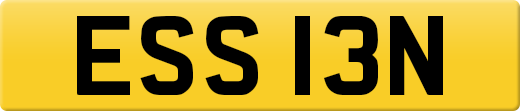 ESS13N