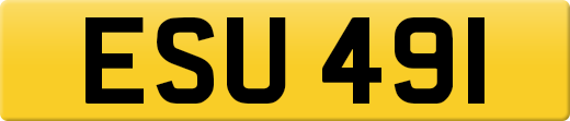 ESU491