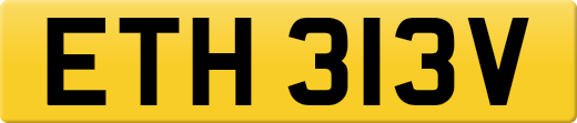 ETH313V