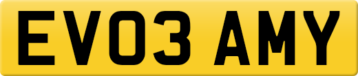 EV03AMY