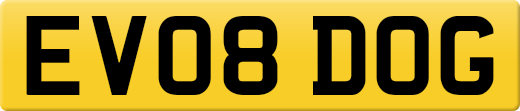 EV08DOG