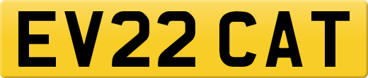 EV22CAT
