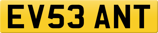 EV53ANT