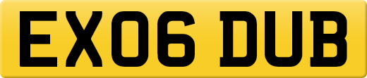 EX06DUB