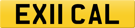 EX11CAL