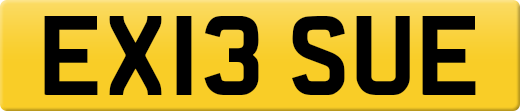 EX13SUE