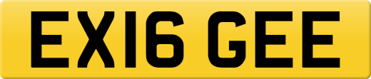 EX16GEE