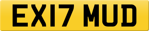 EX17MUD