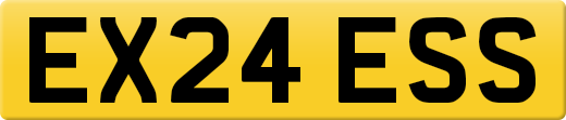 EX24ESS
