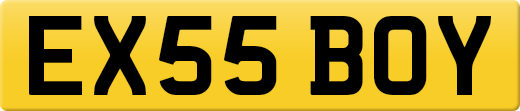 EX55BOY