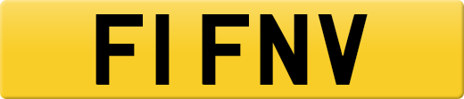F1FNV
