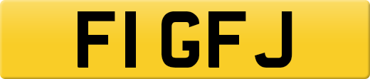 F1GFJ