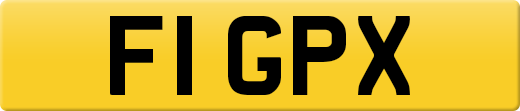 F1GPX
