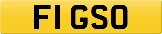 F1GSO