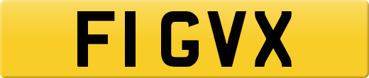 F1GVX