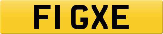 F1GXE