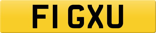 F1GXU