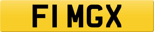 F1MGX