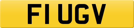 F1UGV