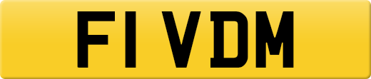 F1VDM