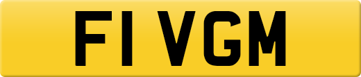 F1VGM