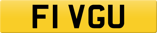 F1VGU