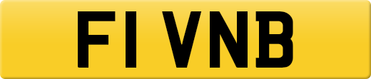 F1VNB