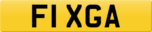 F1XGA