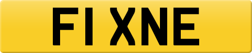 F1XNE