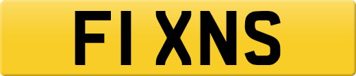 F1XNS