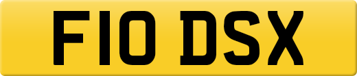F10DSX