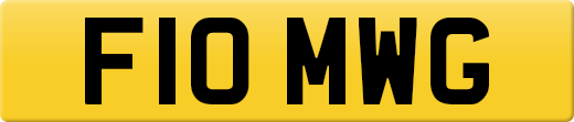F10MWG