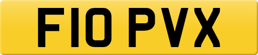 F10PVX