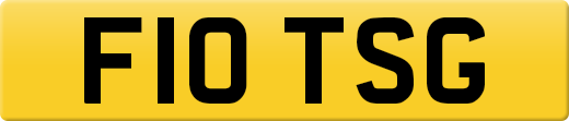 F10TSG