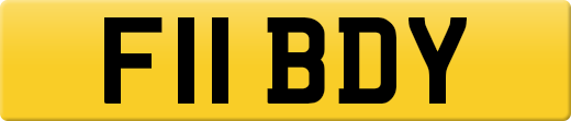F11BDY