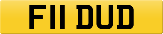 F11DUD