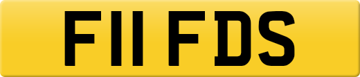 F11FDS