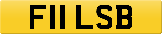 F11LSB