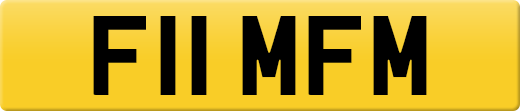 F11MFM