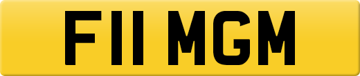 F11MGM