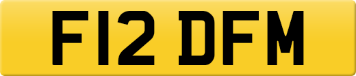F12DFM