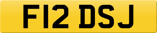 F12DSJ