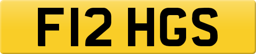 F12HGS