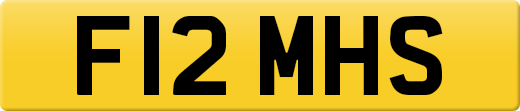 F12MHS